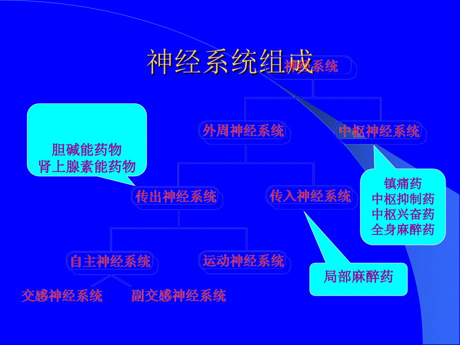 肾上腺素能受体作用药ppt课件_第2页