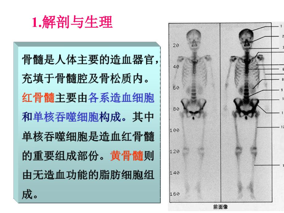 影像核医学：第十六章 血液和淋巴系统_第3页