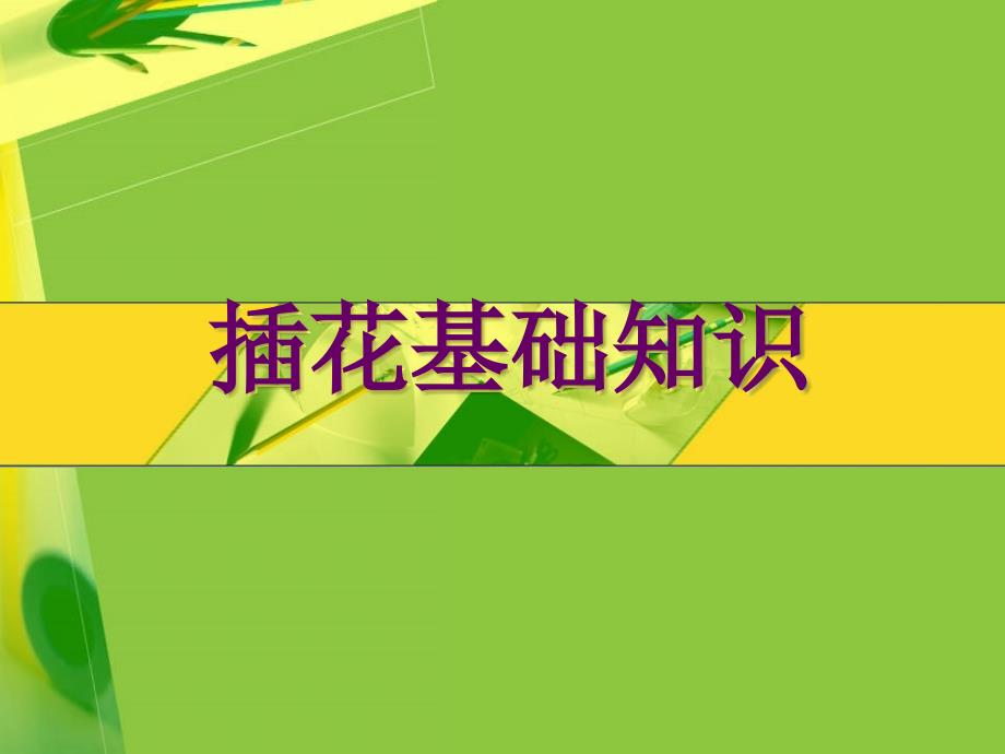 《插花基础知识》PPT课件_第1页