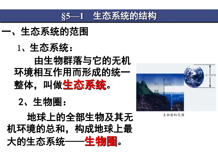 生态系统的组成成分课件_第2页