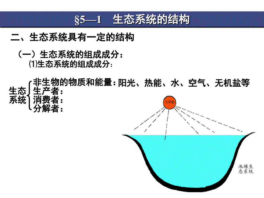 生态系统的组成成分课件_第4页