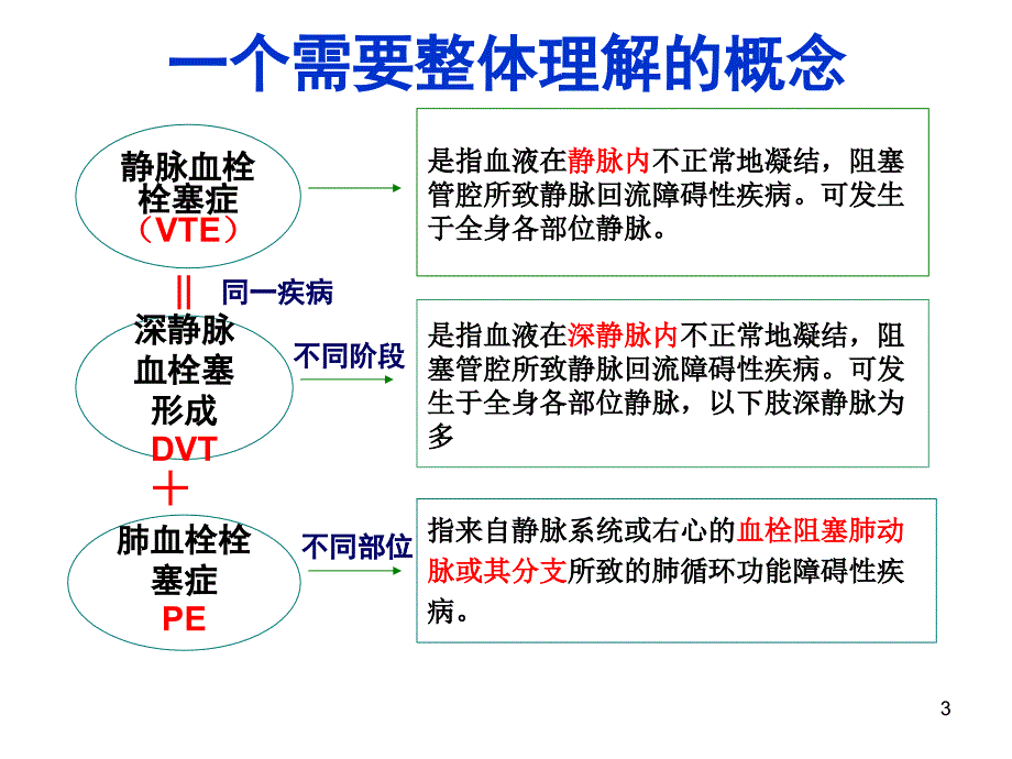 （精选课件）VTE预防_第3页