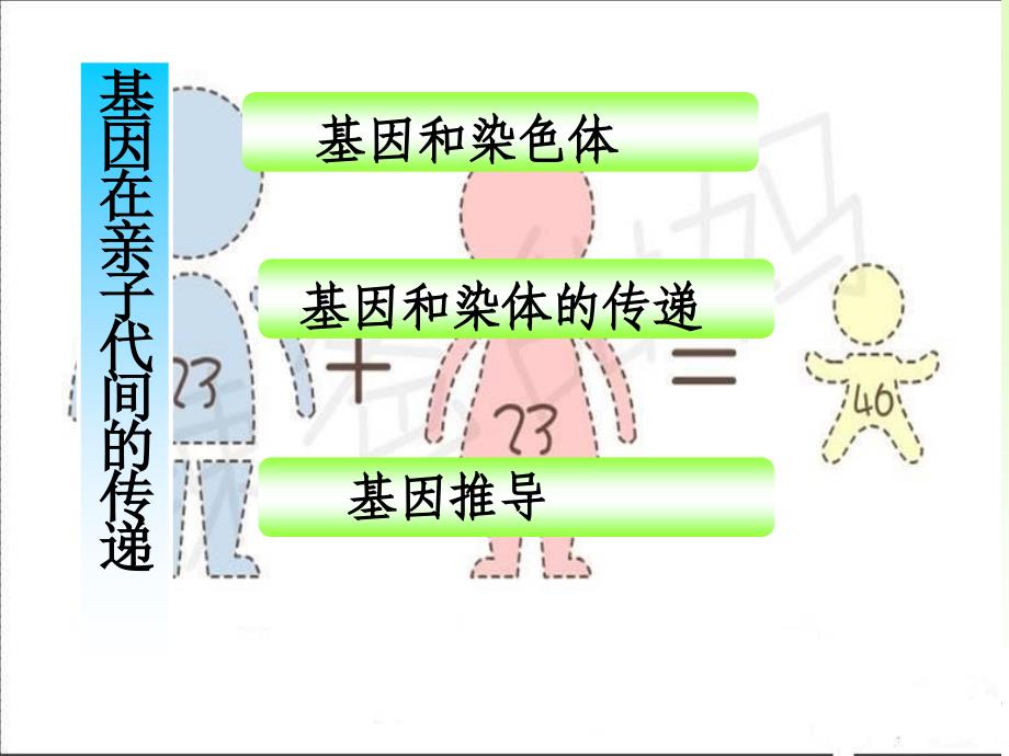 基因亲子代间的传递 (2)_第2页