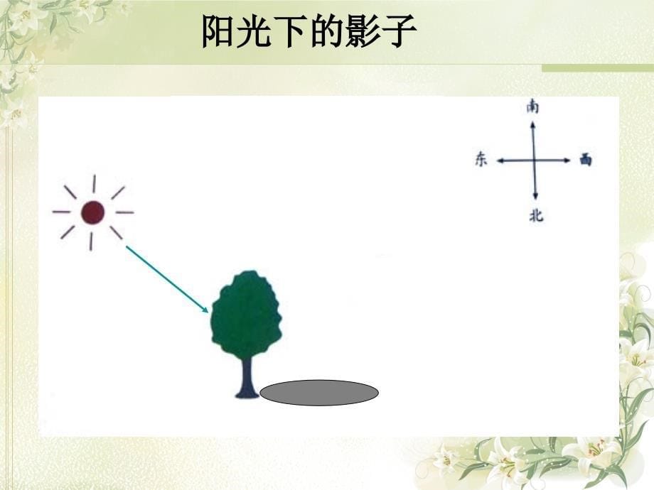 22阳光下的影子PPT五上_第5页