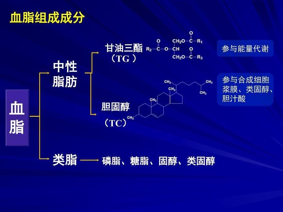 血脂知识培训ppt课件_第5页