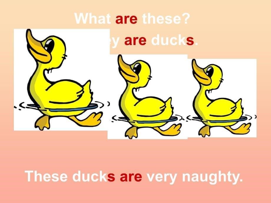 三年级英语上册 Unit 1 These ducks are very naughty课件2 外研版.ppt_第5页