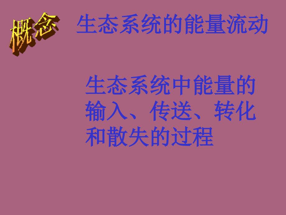 高中生物能量流动ppt课件_第3页