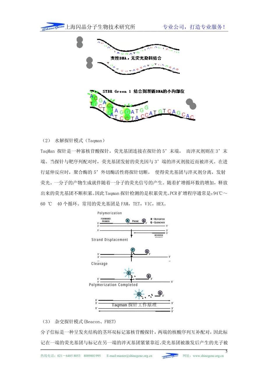 荧光定量PCR全攻略_第5页