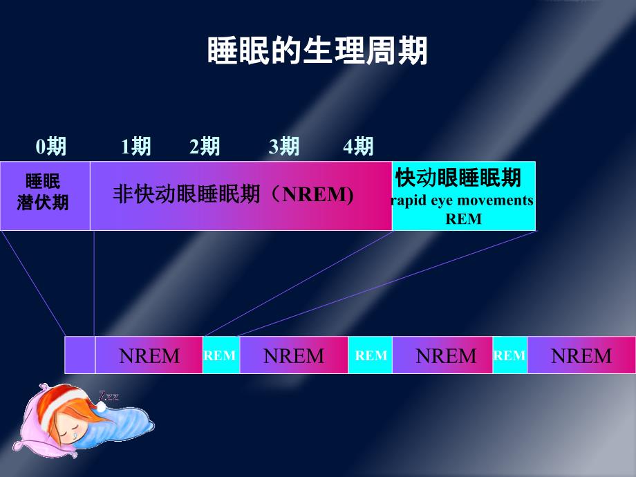 【学习课件】第10章镇静催眠药_第3页