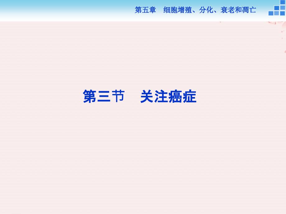 生物 第五章 细胞增殖、分化、衰老和凋亡 第三节 关注癌症 苏教版必修1_第1页