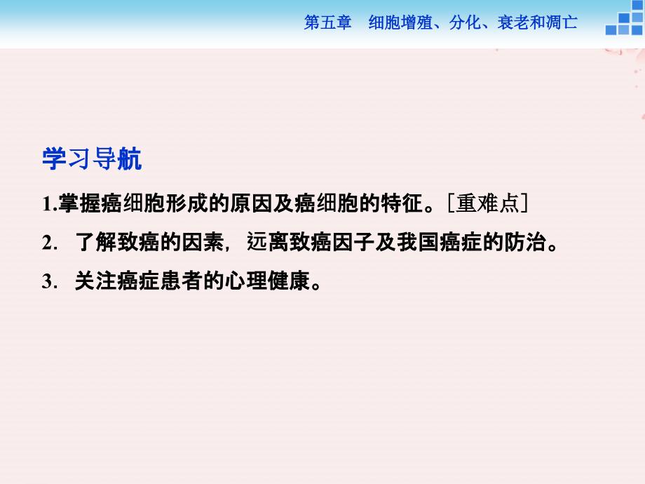 生物 第五章 细胞增殖、分化、衰老和凋亡 第三节 关注癌症 苏教版必修1_第2页