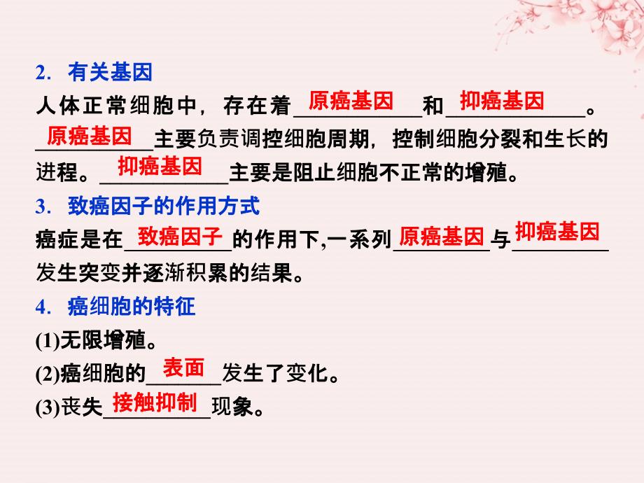 生物 第五章 细胞增殖、分化、衰老和凋亡 第三节 关注癌症 苏教版必修1_第4页