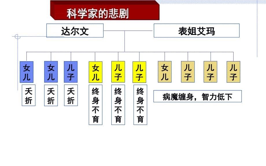 一轮 必修二 5 人类遗传病_第5页