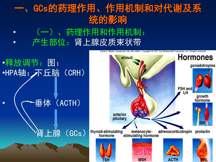 执业药师皮素_第3页