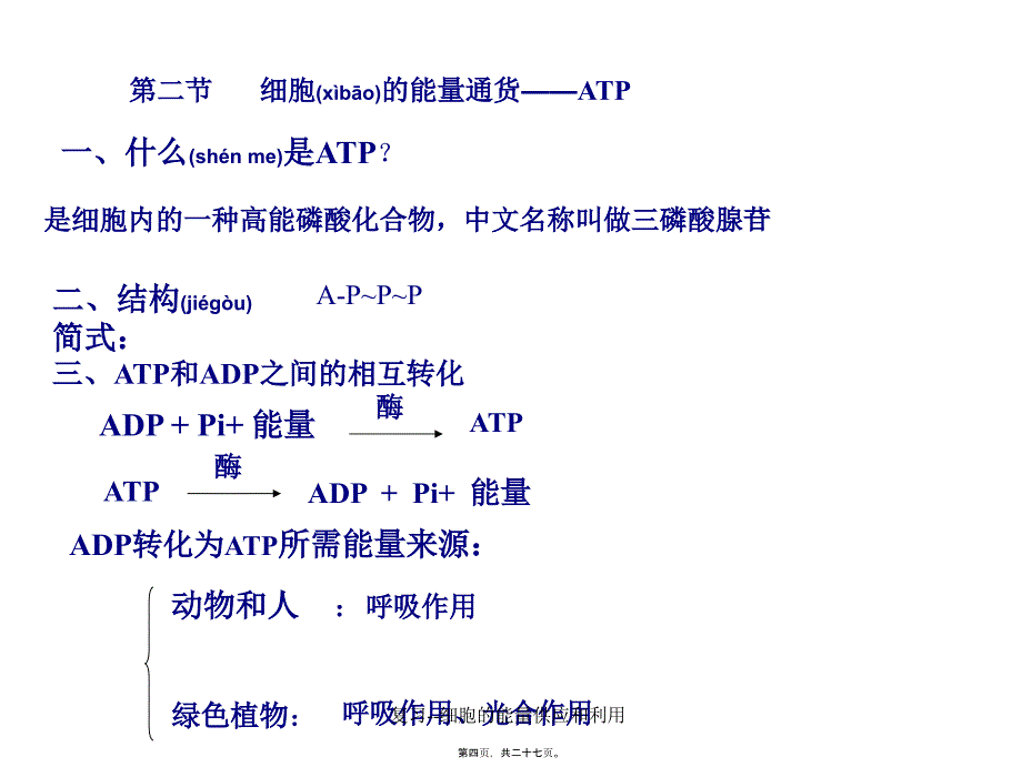 复习细胞的能量供应和利用课件_第4页