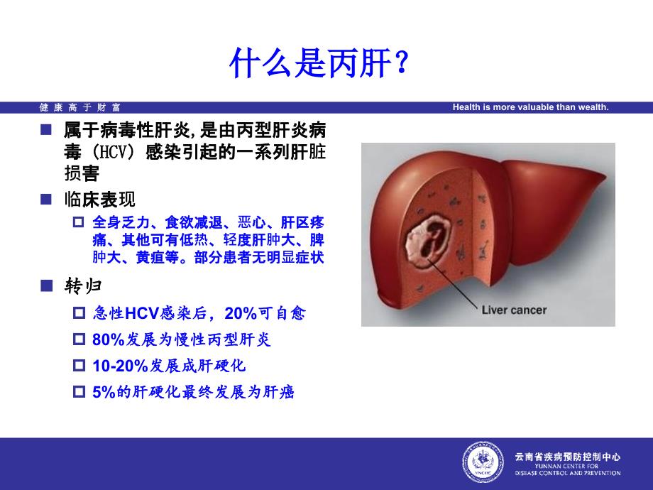 2.丙肝防控基本知识_第4页