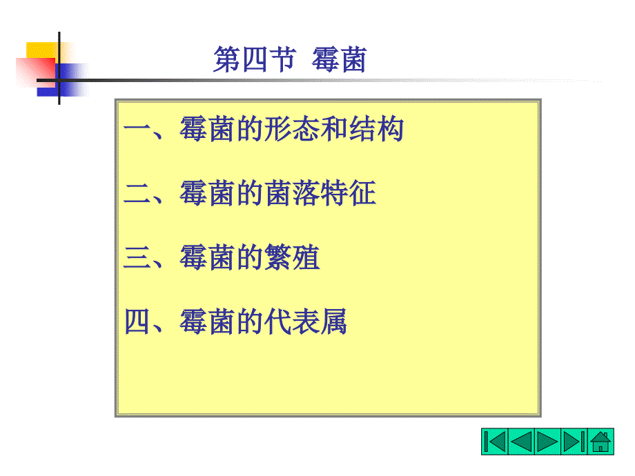 微生物形态-霉菌(5-2)课件_第1页