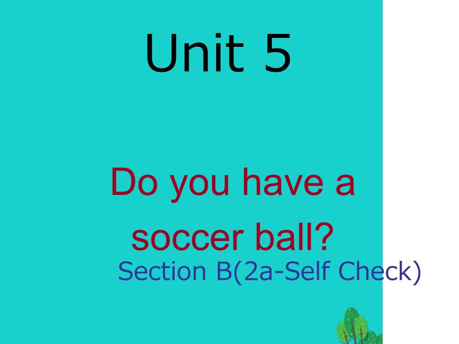 七年级英语上册Unit5DoyouhaveasoccerballSectionB2aSelfCheck课件新版人教新目标版_第1页