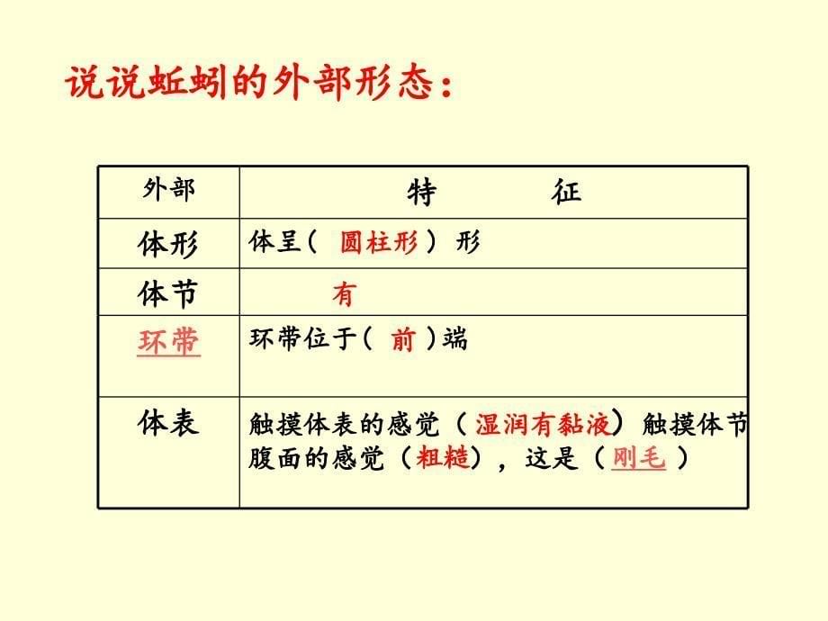 小学科学大象版六年级上册第五单元 我们经历的科学探究过程1 案例分析：对蚯蚓的探究_第5页