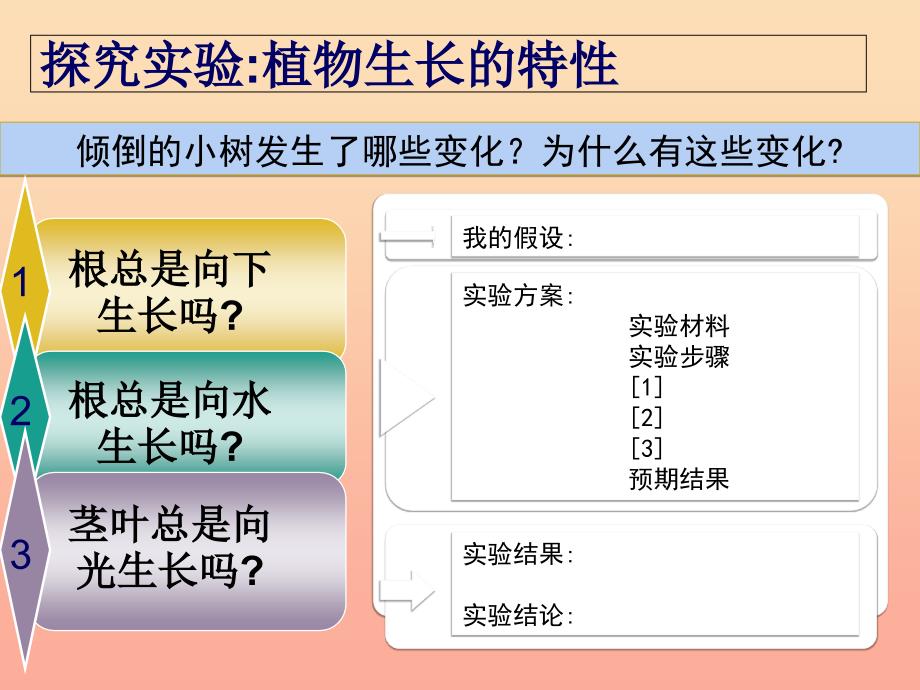 六年级科学上册 1.1 一棵顽强的小树课件3 湘教版.ppt_第3页