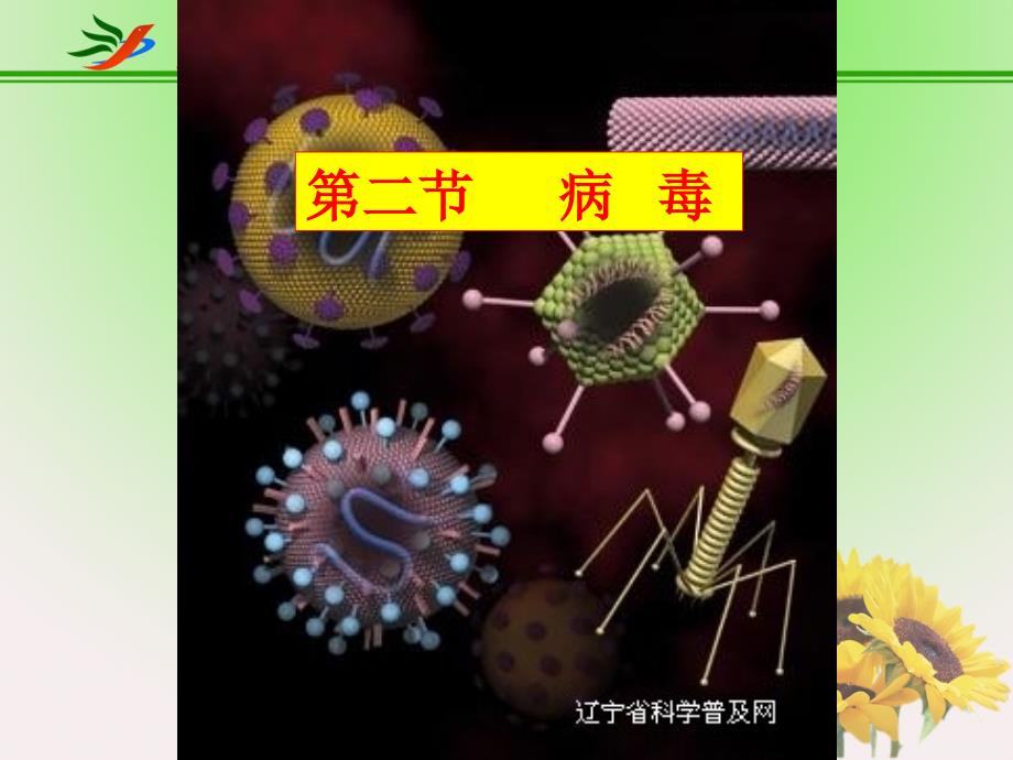 八年级下生物教案_第二节_病毒_第1页