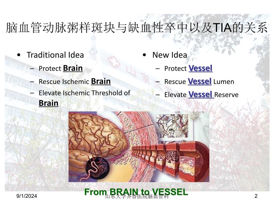 题目从实践和循证看动脉粥样硬化斑块患者的他汀治疗_第2页