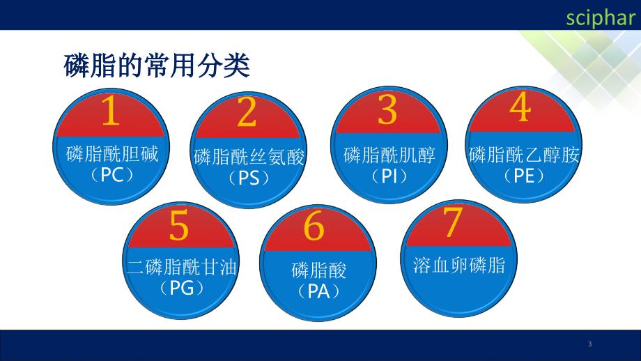 解密磷脂磷脂酰胆碱和磷脂酰丝氨酸PPT精选文档_第3页