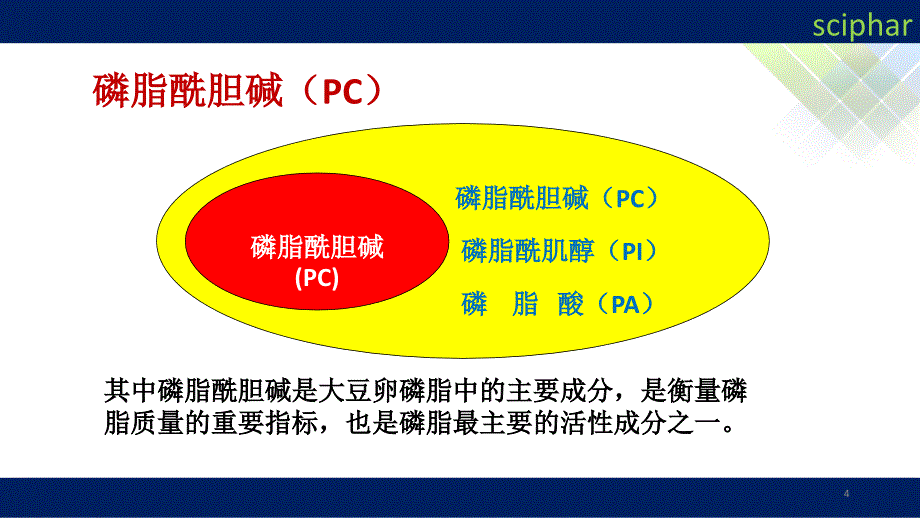 解密磷脂磷脂酰胆碱和磷脂酰丝氨酸PPT精选文档_第4页