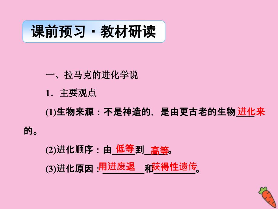 2019-2020学年高中生物 第7章 现代生物进化理论 第1节 现代生物进化理论的由来课件 新人教版必修2_第4页