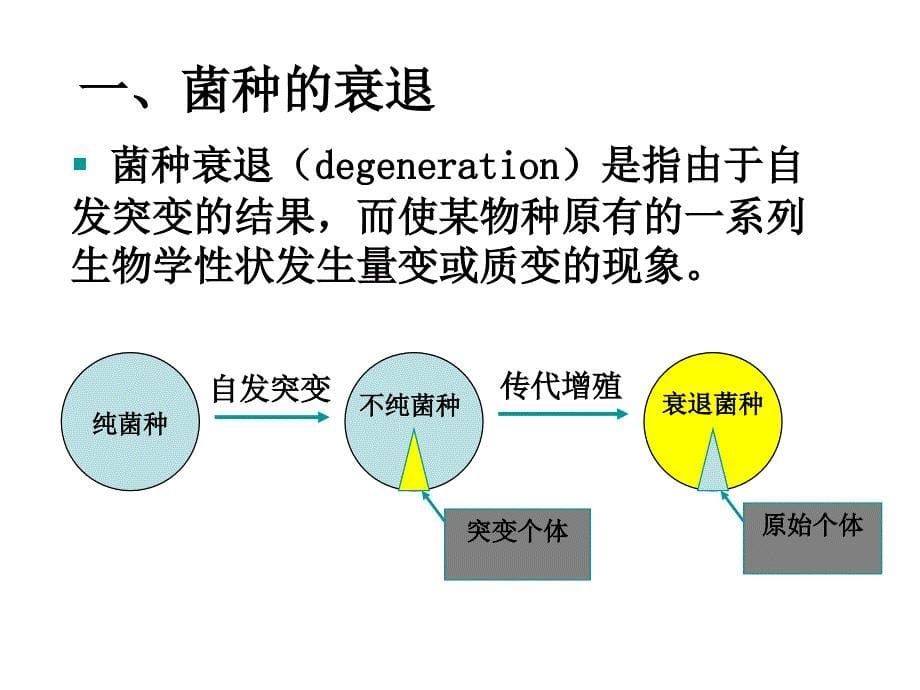 高二生物菌种的保藏_第5页