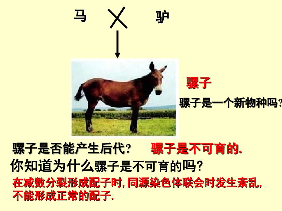 《隔离和物种的形成》PPT课件_第2页