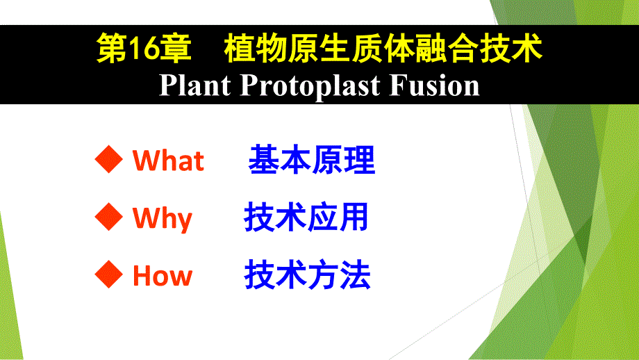 植物原生质体融合技术97813_第1页