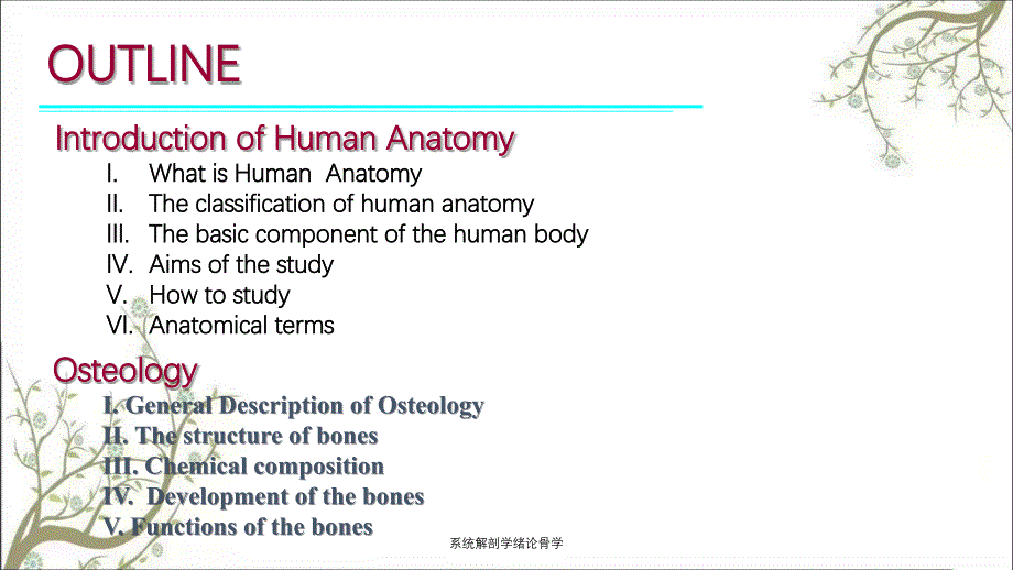 系统解剖学绪论骨学_第3页