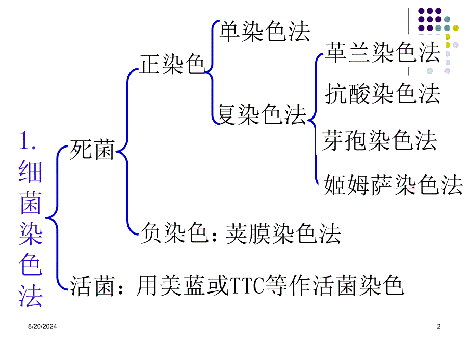 《实训三细菌染色法》PPT课件.ppt_第2页