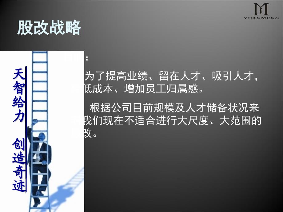 股改方案某公司股份制改造_第4页