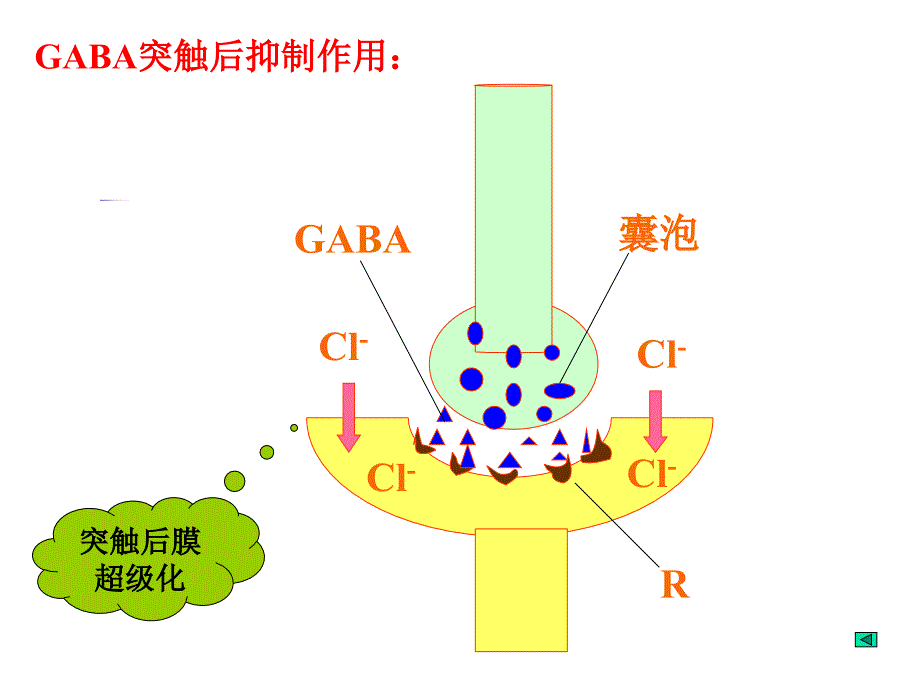 病理生理学课件：第17章 肝功能不全2_第2页