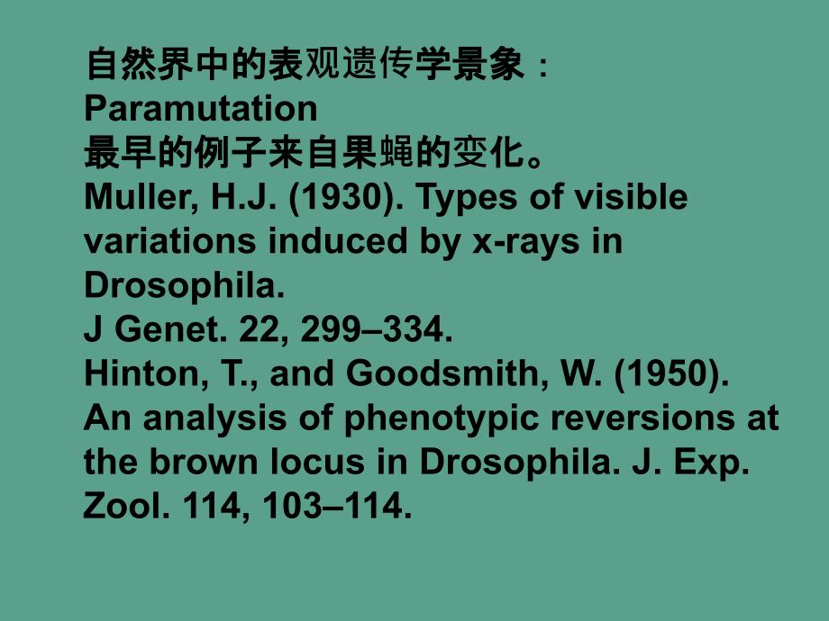 植物表观遗传学ppt课件_第3页