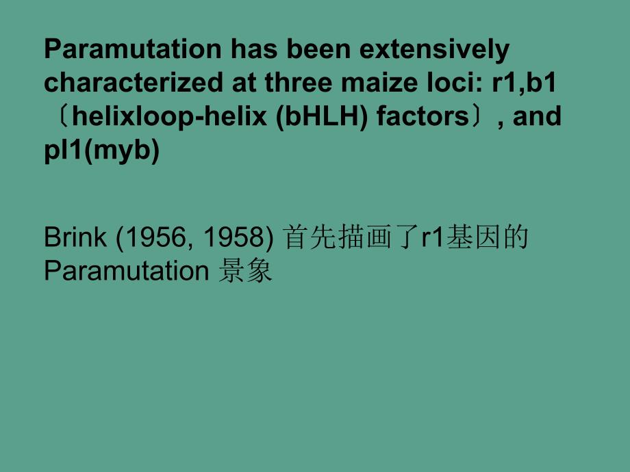 植物表观遗传学ppt课件_第4页