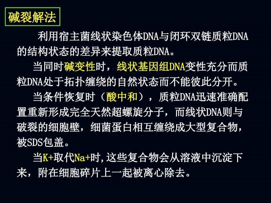 基因工程的主要技术原理_第5页