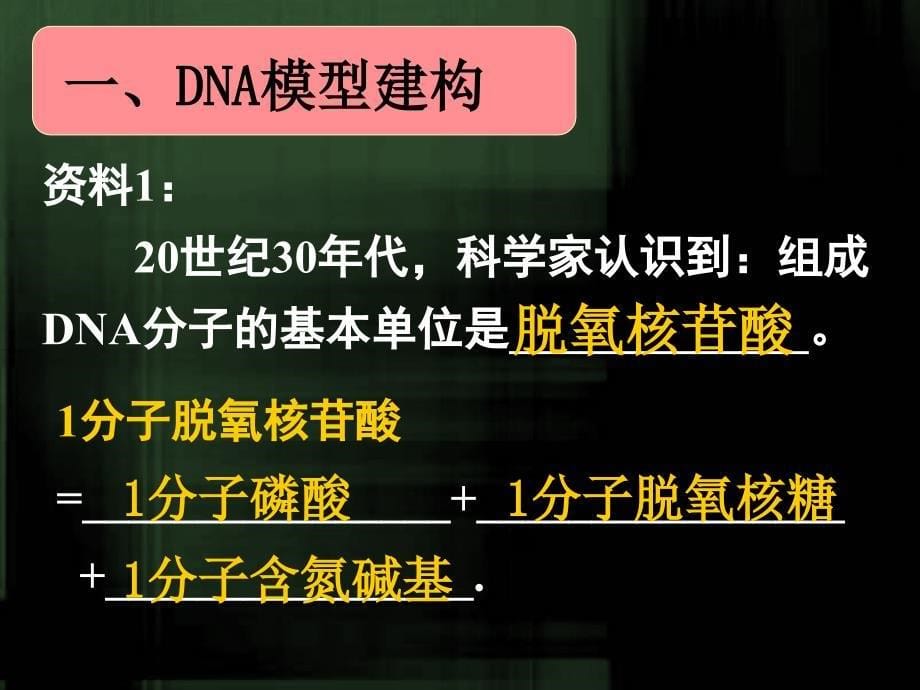 使用DNA分子的结构_第5页