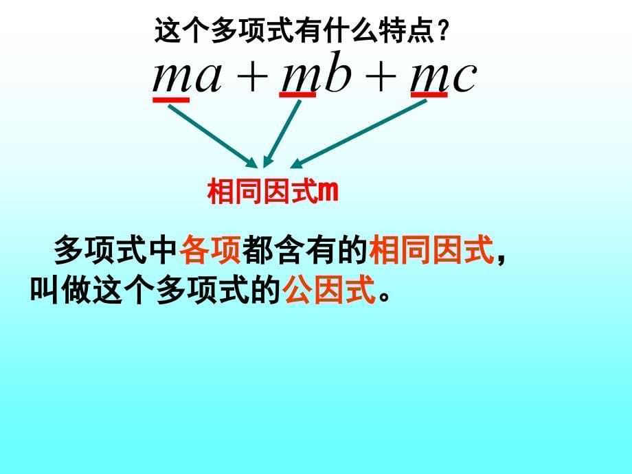 八年级数学提公因式法分解因式_第5页