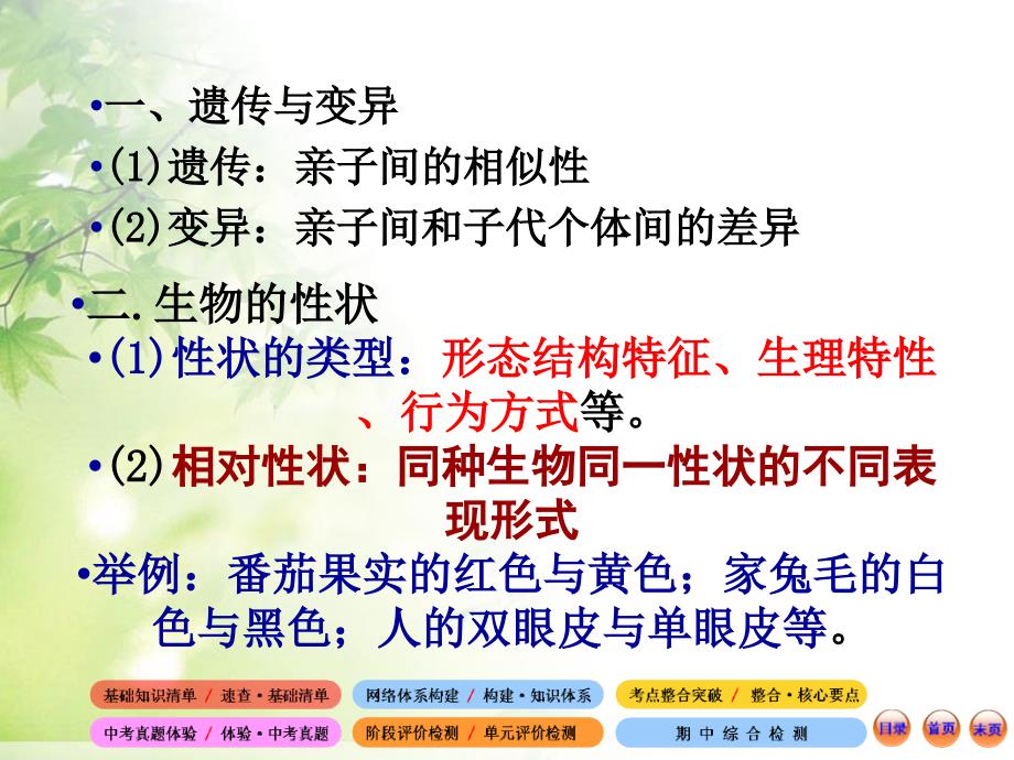 八年级生物下册第七单元第二章第二节基因在亲子代间的传递_第2页