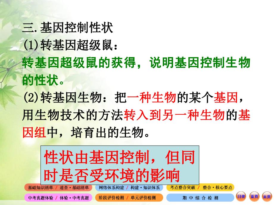 八年级生物下册第七单元第二章第二节基因在亲子代间的传递_第3页