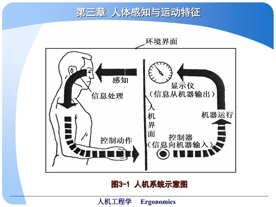 第三章人体感知与运动特征课件_第4页