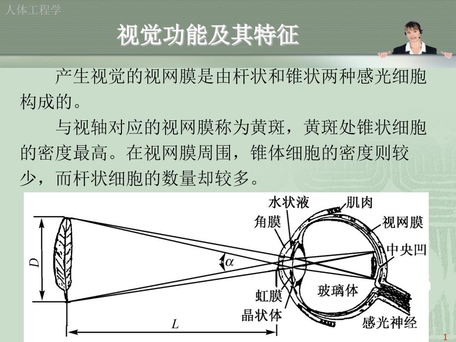 人体工程学与视觉传达设计_第2页