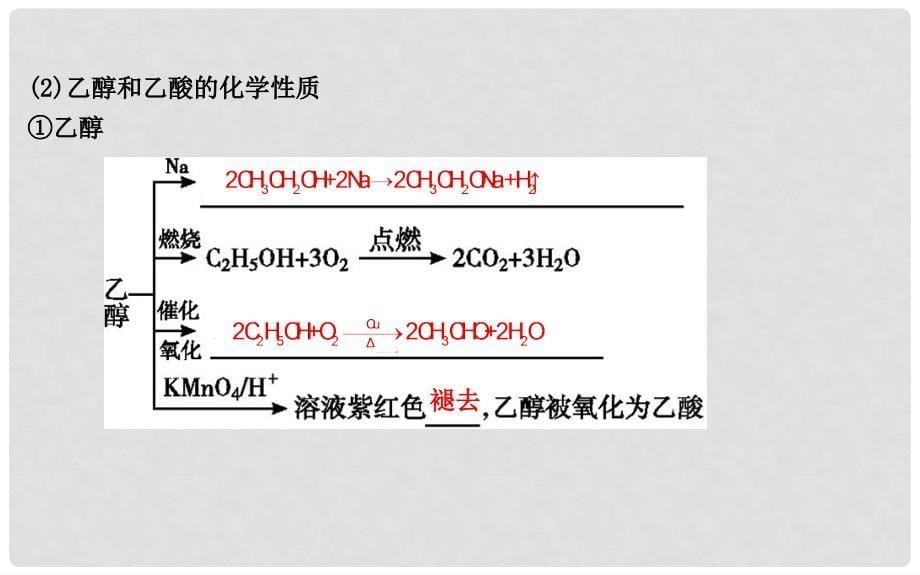 高考化学一轮复习 第29讲 生活中的常见有机物及基本营养物质课件_第5页