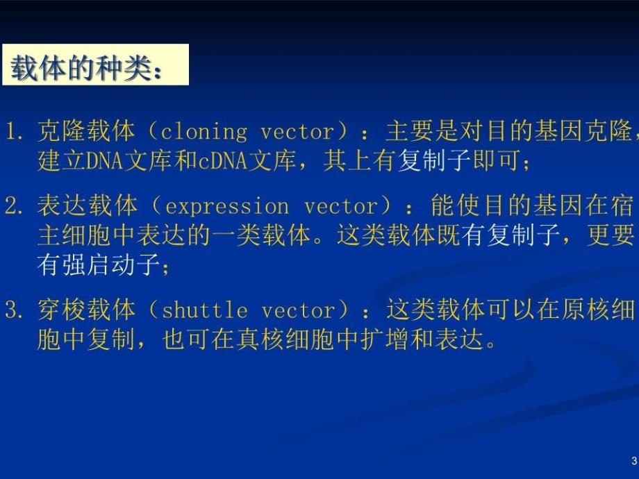 《基因工程载体》PPT课件.ppt_第3页