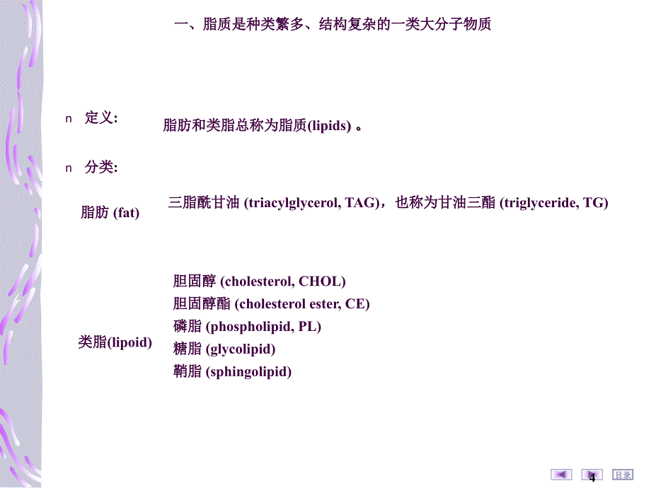 脂质代谢ppt课件_第4页