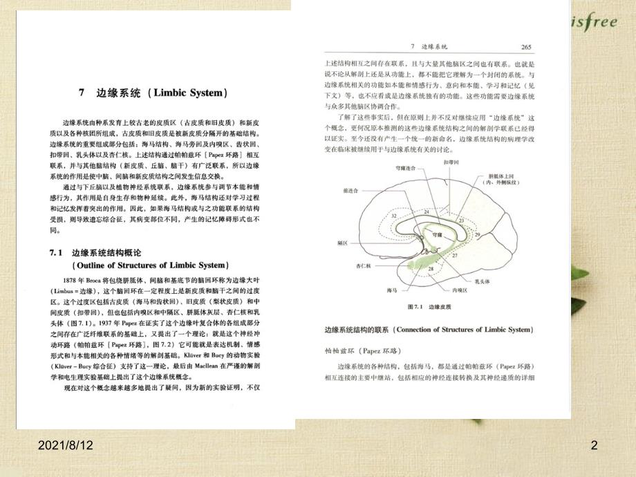 神经系统疾病边缘系统、基底神经节【课件PPT】讲座_第2页