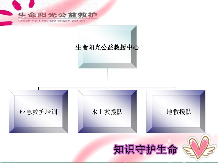 生命阳光公益救援中心简介_第3页